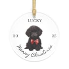 Supplier acrylic ornament mockup on white background