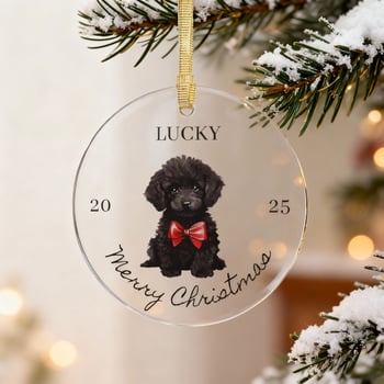 Acrylic ornament hanging on decorated holiday tree